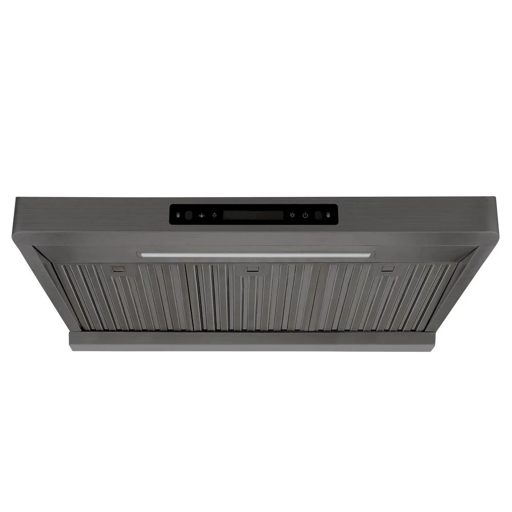 Alexandria 30" Silver, 860 CFM Dual Motors